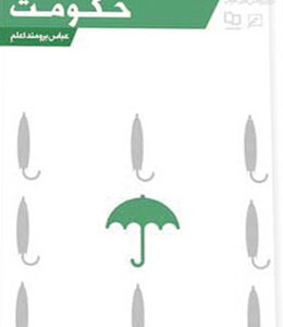 از نگاه نبوی(جلد۱۶): حکومت